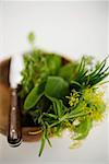 Assorted herbs in wooden bowl with knife