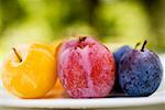 Different types of plums