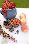 Sommer-Obst-stilleben auf Tisch im Garten