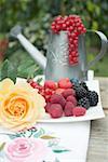 Fresh berries on plate, redcurrants in watering can