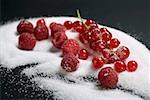 Framboises et groseilles rouges sur le sucre