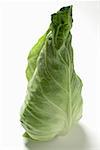 A pointed cabbage