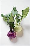 Two kohlrabi (green and purple) with leaves