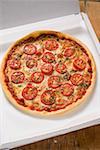 Pizza fromage et des tomates à l'origan en boîte à pizza