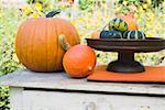 Assorted squashes and pumpkins on garden table (outdoors)