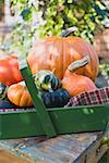 Various types of pumpkins & squashes, some in wooden basket