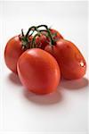 Fresh plum tomatoes