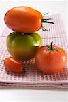 Quatre tomates différentes sur le torchon