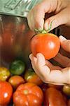 Hands removing stalk from tomato