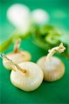 Various types of onions on green background