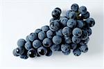 Raisins noirs, variété Regent