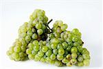 Raisins verts, des variétés Riesling