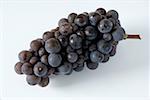 Black grapes, variety Ruhl0nder