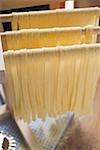 Home-made ribbon pasta, hanging up to dry