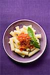 Rigatoni with tomato sauce