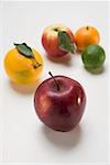 Apples and citrus fruit