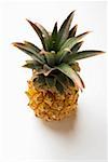 Ananas (obenliegende Ansicht)