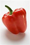 Poivron rouge