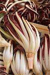 Radicchio di Treviso in crates (detail)