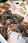 Fresh lobsters on a market stall