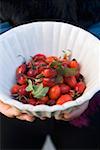Hands holding a dish of rose hips