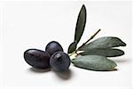 Brin d'olive aux olives noires sur fond blanc