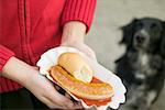 Hands holding sausage with ketchup & curry powder in paper dish, dog