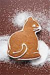 A gingerbread cat