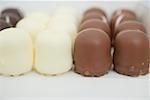 Weiße und dunkle Schokolade überzogene Marshmallow Waffeln