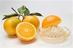 Juice oranges with citrus squeezer