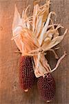 Cobs of corn (Autumn decoration, USA)