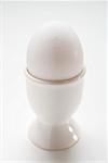 White egg in eggcup