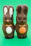 Two chocolate Easter Bunnies on green background