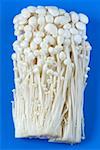 Enoki mushrooms on blue background