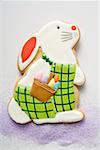 Easter biscuit (Easter Bunny) on sugar