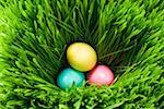 Three Easter eggs in grass