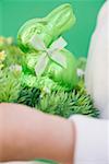 Child's hands holding green Easter Bunny on grass