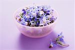 Borage flowers in and beside pink bowl