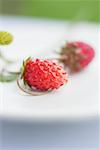 Fraises sauvages (gros plan)