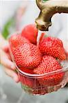 Washing strawberries