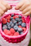 Hands holding basket of blueberries and raspberries