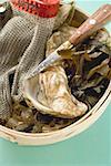 Fresh oysters, seaweed, glove and knife in woodchip basket