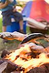 Grilling fish over camp-fire