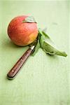 Nectarine with leaves and drops of water, knife beside it