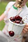 Child washing cherries under tap