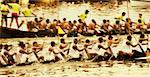 Group of people participating in a snake boat racing, Kerala, India