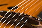 Close-up of strings of a guitar