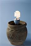 Close-up of a lit energy efficient light bulb in a pot