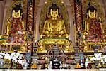 Statues de Bouddha, Chuk Lam Sim Yuen monastère, nouveaux territoires, Hong Kong, Chine