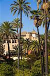 Gardens of Alcazar of Seville, Seville, Andalucia, Spain